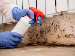 Best Comprehensive Air Testing for Mold Contaminants in Del Rey, CA